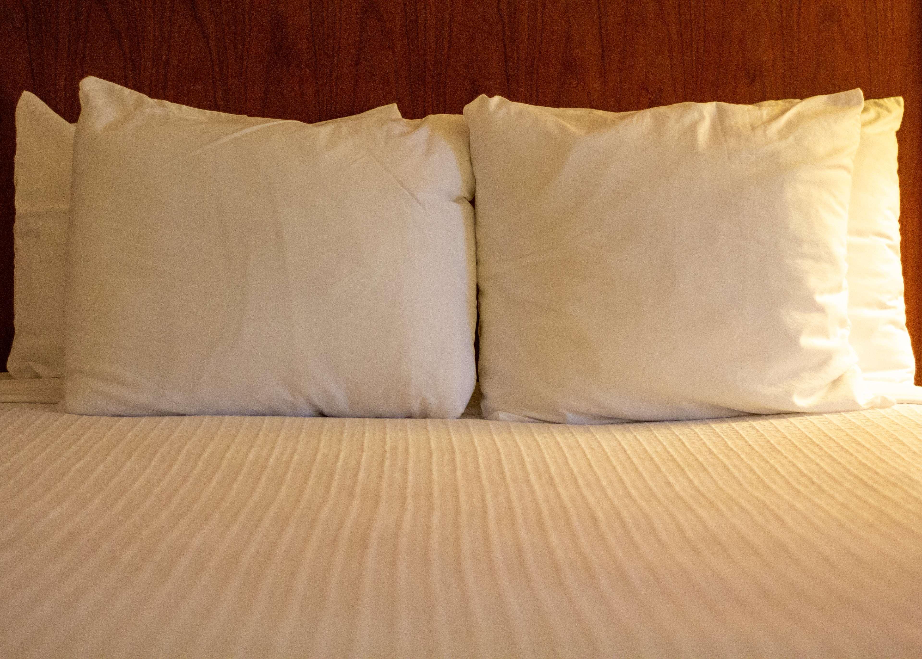 Best Western Plus A Wayfarer'S Inn & Suites Κίνγκμαν Εξωτερικό φωτογραφία